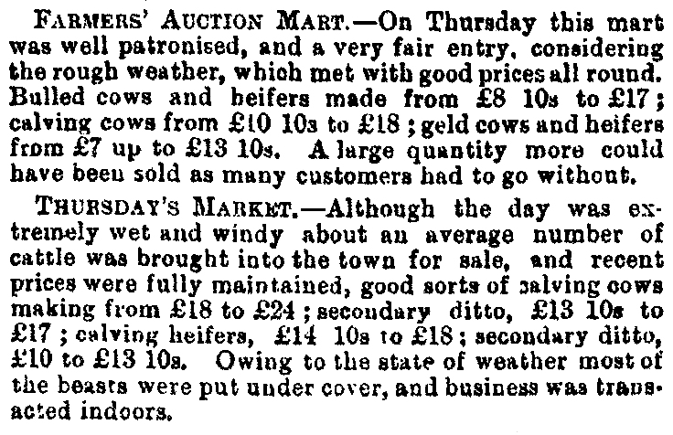 Market  1888-05-05 a CHWS.JPG